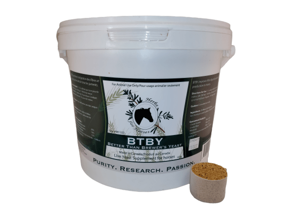 BTBY (Better Than Brewer's Yeast)