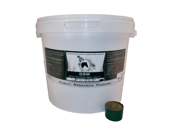 DSM - Pure Dried Seaweed Meal (Organic Atlantic Kelp) 5 kg Cut Leaf with Scoop