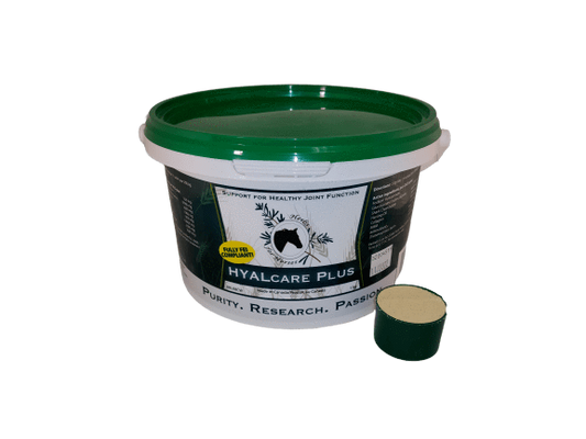 Hyalcare 1 kg Powder with Scoop