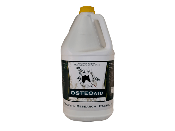 Osteoaid 4 L Liquid