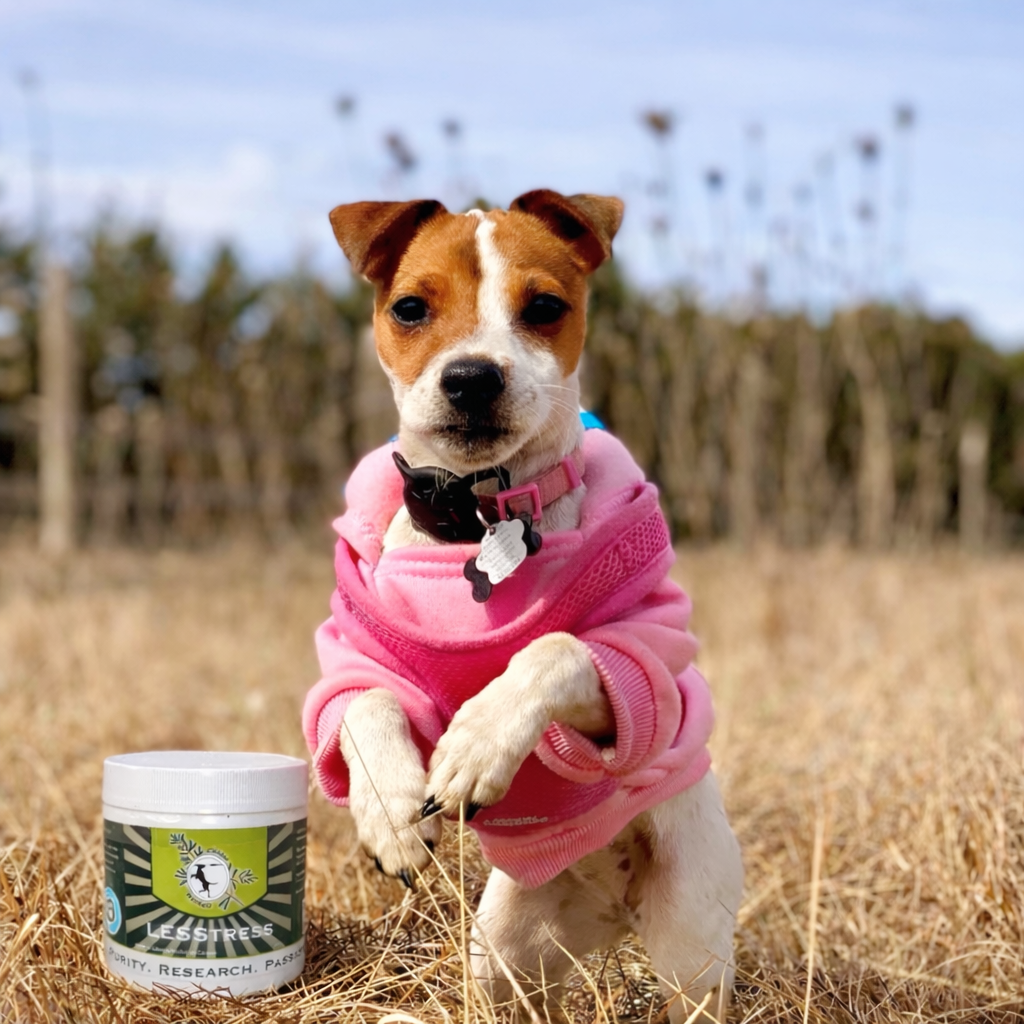 Canine Products