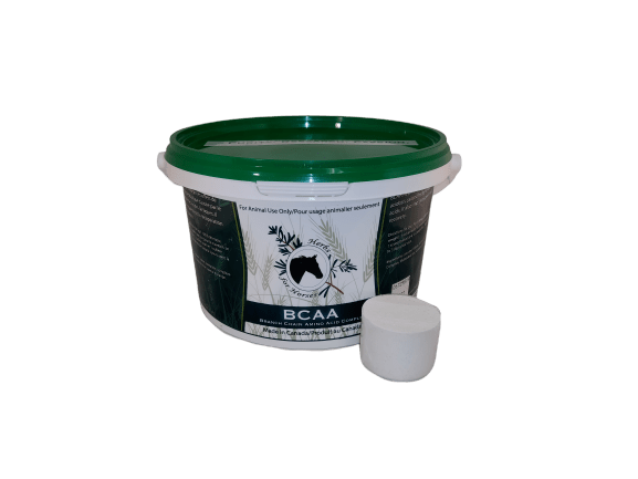 BCAA 1 kg Powder (with Scoop)