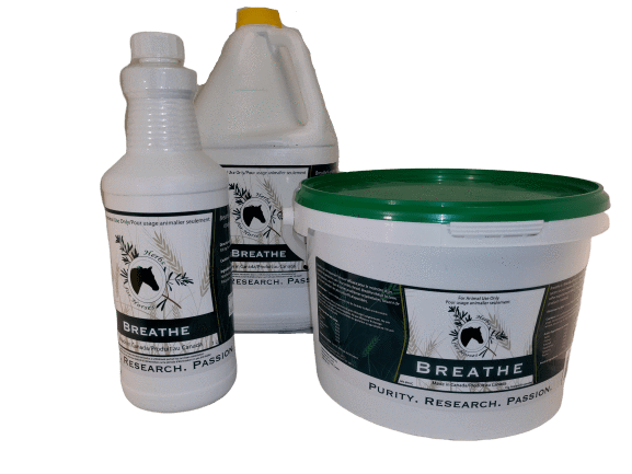 Breathe (no garlic)
