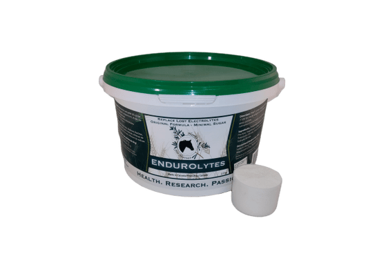 Endurolytes 2.5 kg Powder with Scoop