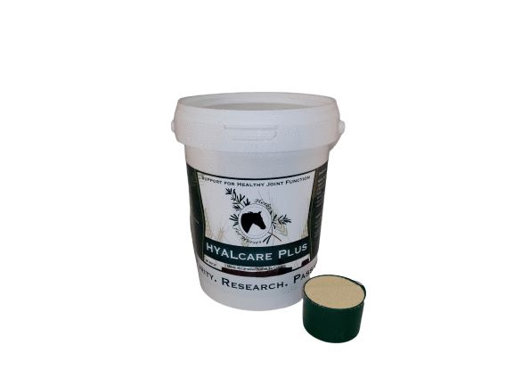 Hyalcare 500 g Powder with Scoop