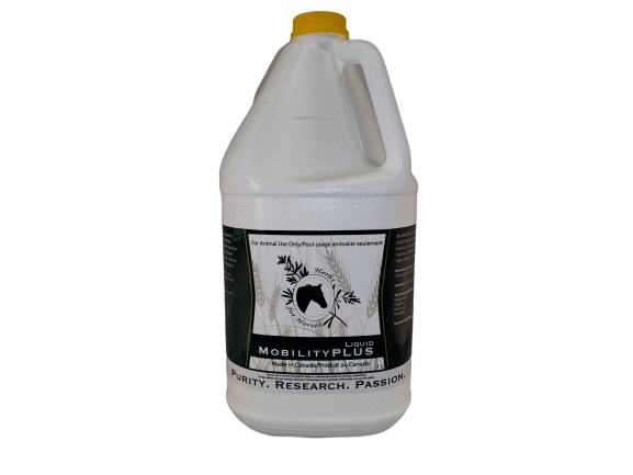 Mobility Plus 4 L Liquid