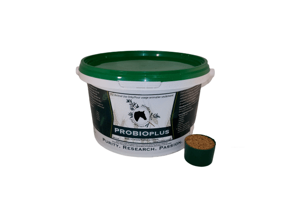 Probioplus 1.25 kg Granular with Scoop