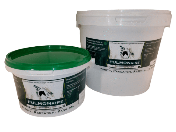 Pulmonaire Powder