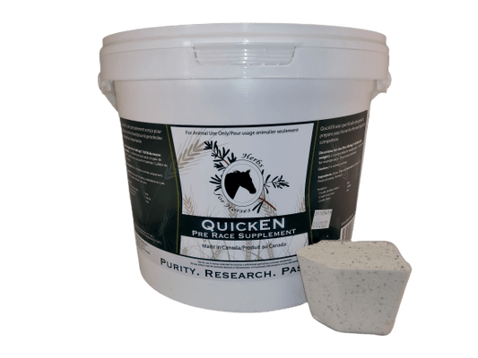 Quicken 4 kg Powder with Scoop