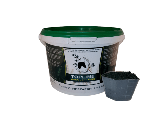 Topline Muscle Finish 2 kg Powder with Scoop