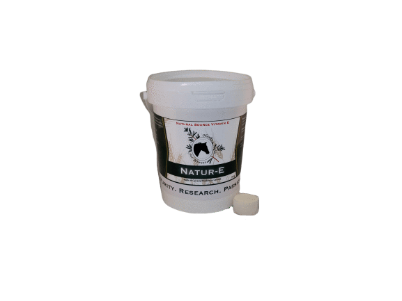 Vitamin E (Natur-E Powder 500g with Scoop)